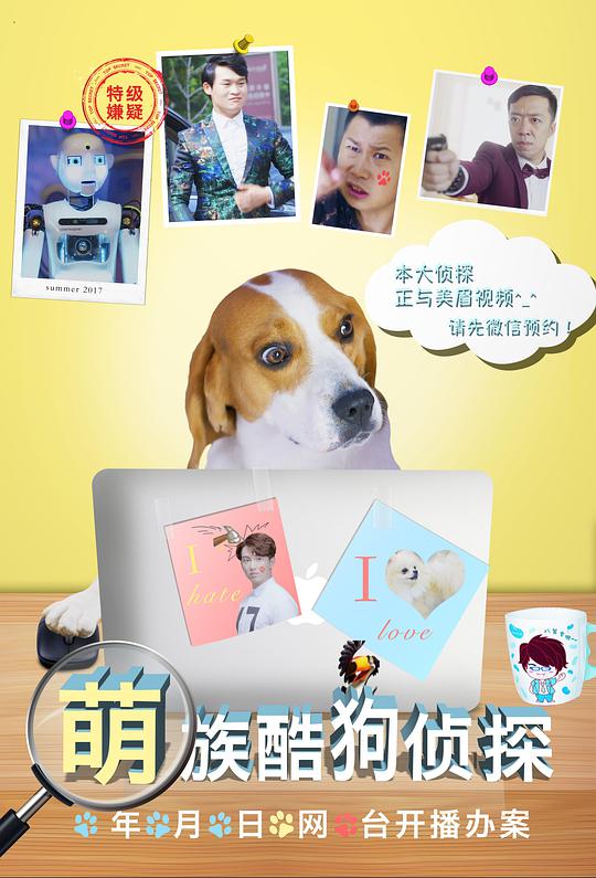 国外b站真人版直播